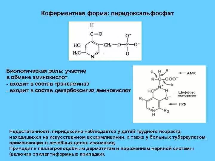 Кофермент витамина в6. Пиридоксаль кофермент. Пиридоксальфосфат витамин. Структура кофермента пиридоксальфосфат.