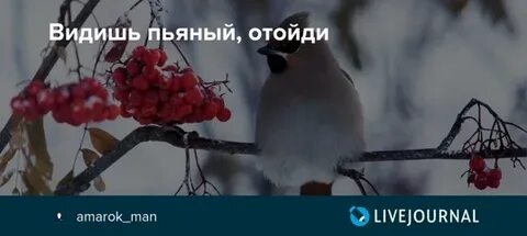Увидела пьяную невестку на остановке