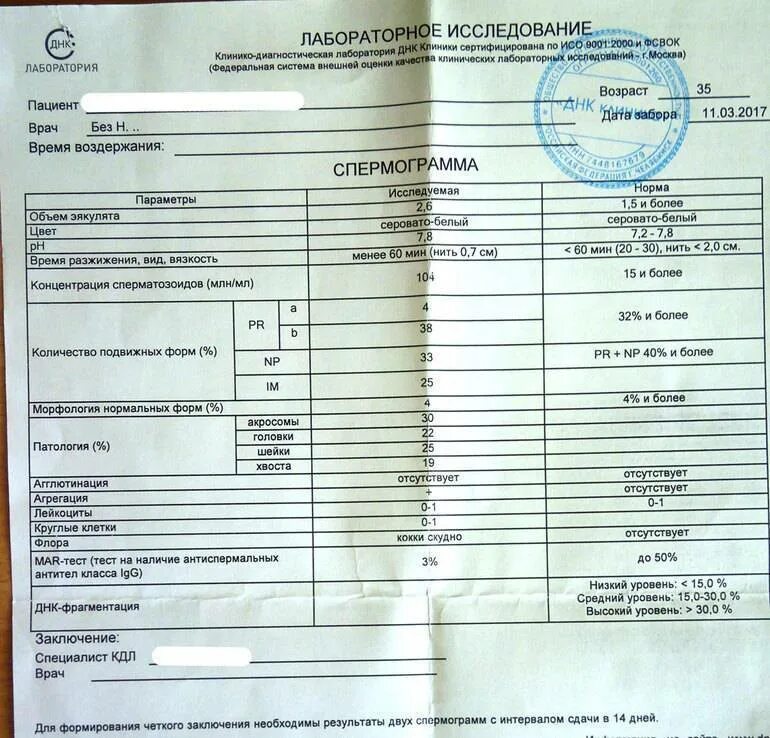 Днк методом tunel. Расшифровка фрагментации ДНК спермограммы. Норма показателей фрагментации ДНК спермограммы. Степень фрагментации ДНК спермограммы норма. ДНК фракция спермограмма.