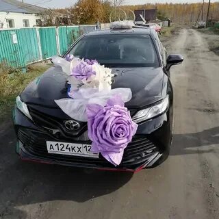 Авто шипуново
