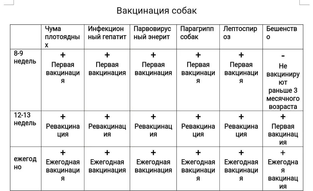 В каком возрасте делают прививку от бешенства