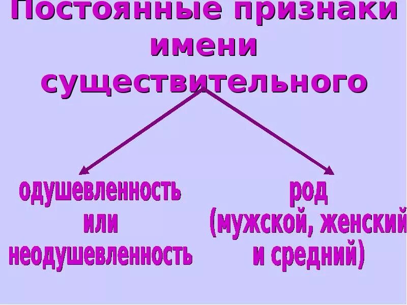 Думая постоянные признаки. Постоянные признаки. Постоянные и непостоянные признаки имен существительных. Постоянные признаки имени существительного. Признаки имен существительных.