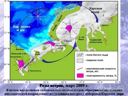 Температурный режим карского