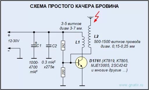 Схема катушки Тесла 12 вольт. Качер Бровина схема 220. Катушка Тесла схеме качера Бровина. Качер на полевом транзисторе.