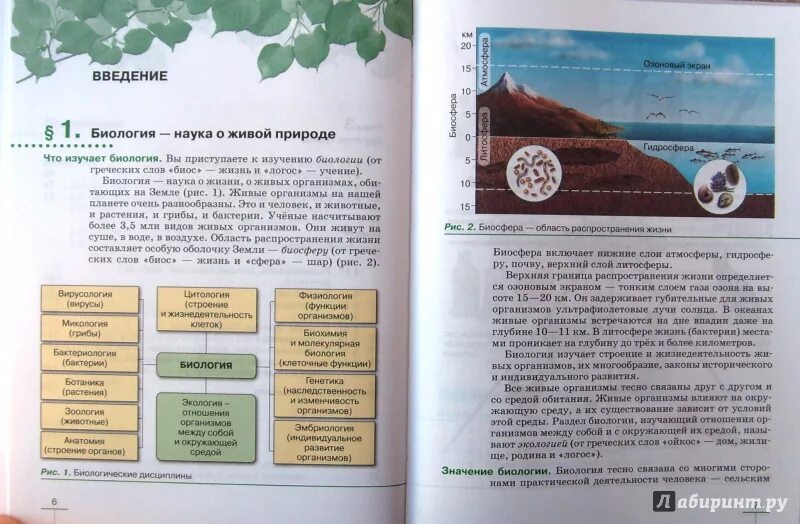 Биология 6 класс учебник пасечник 22 параграф. Растение гриб бактерия биология. Биология бактерии грибы растения 5 класс Пасечник в.в. Учебник по биологии 5 класс Пасечник бактерии грибы растения. Пасечник биология 6 класс учебник бактерии грибы растения.