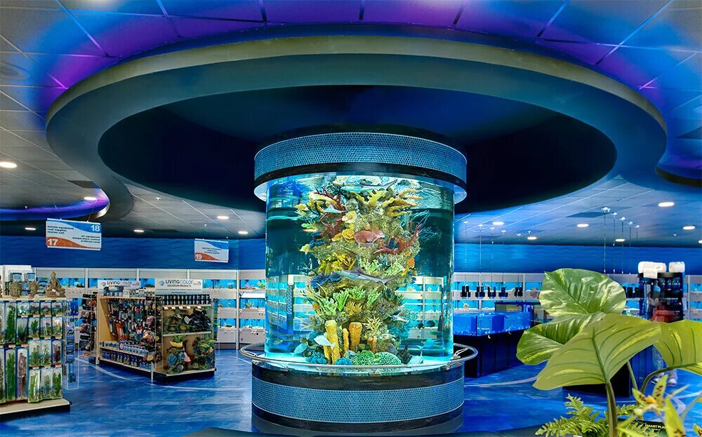 Аквариум aquarium. Аквариум (Fish Tank) 2009. Большие аквариумы. Современный аквариум. Огромный аквариум.