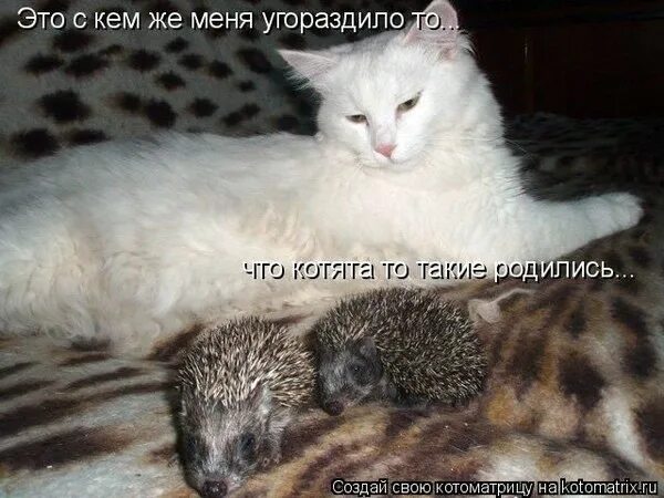 Искренне жалею