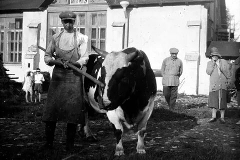 В начале 1930 х
