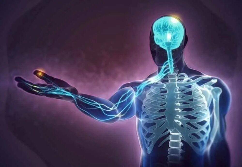 Мозг передается. Нервная система. Нервная система человека. Электрические импульсы в теле. Здоровая нервная система.