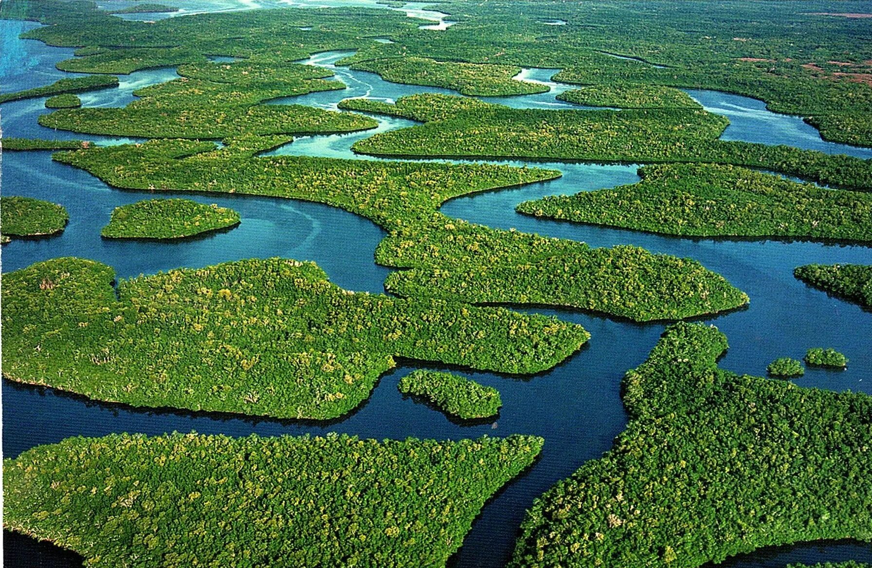 Река Амазонка в Бразилии. Амазонка самая длинная река в мире. Бассейн реки Амазонка. Исток реки Амазонка.