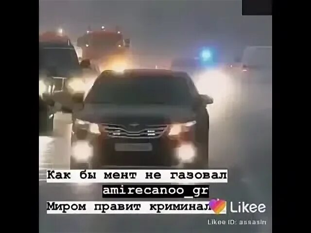 Правят криминал