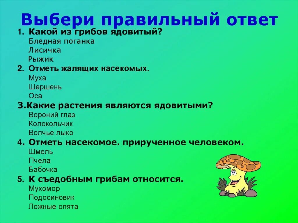 Выберите три правильных. Тесты на тему лесные опасности второй класс. опасные растения белена бледная поганка. бледная поганка волчье лыко. выбери 3 правильных ответа ядовитыми грибами являются.