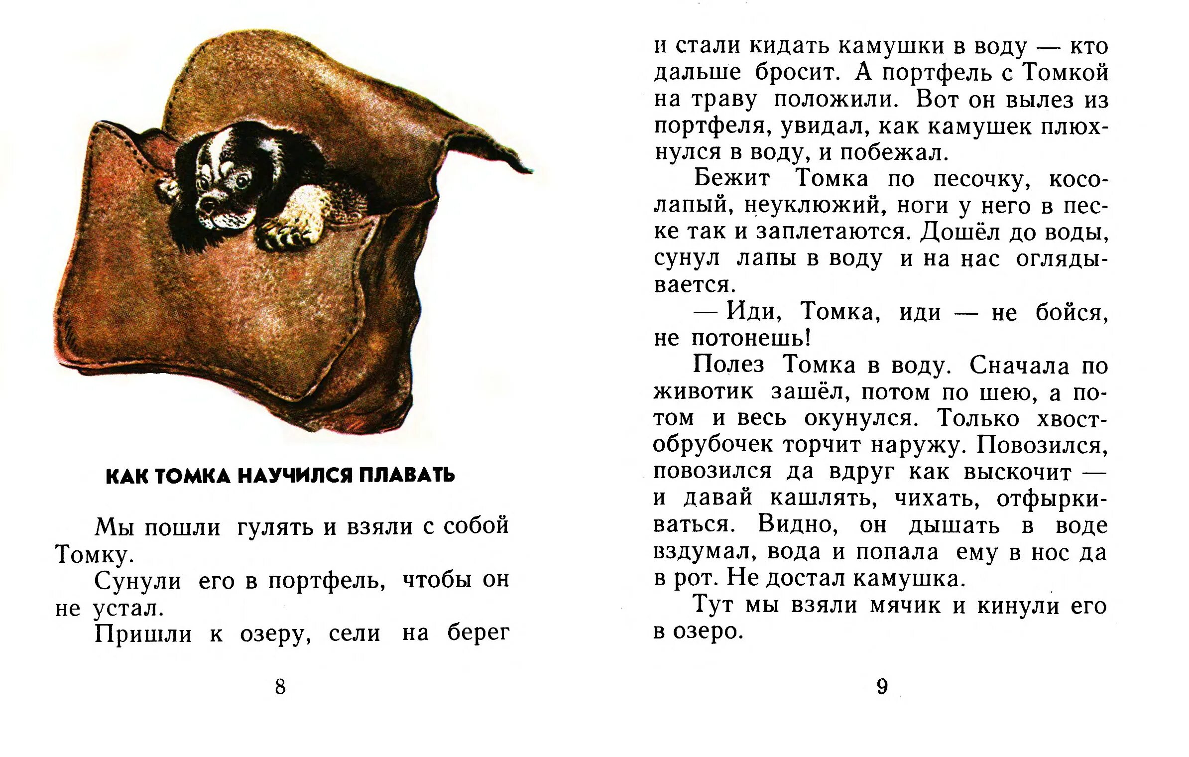 Рассказ е Чарушина про Томку. Рассказ про Томку Чарушин текст. Чарушин рассказы 2 класс книга. Рассказы про томку