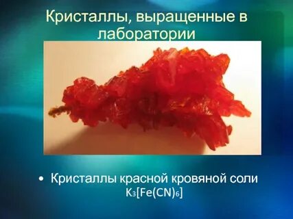 Красная кровяная
