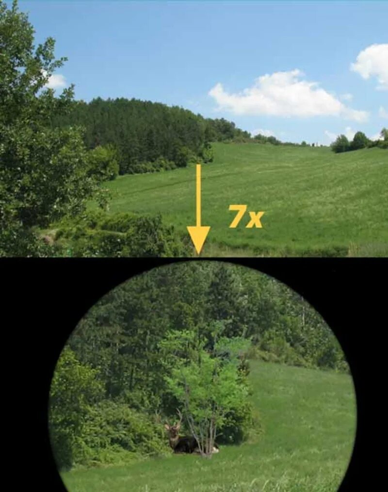 Как далеко можно увидеть. Кратность бинокля. Увеличение бинокля. 8 Кратное увеличение. 10 Кратное увеличение бинокля.