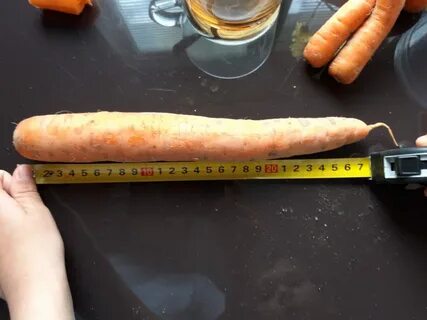 Наибольший диаметр моркови