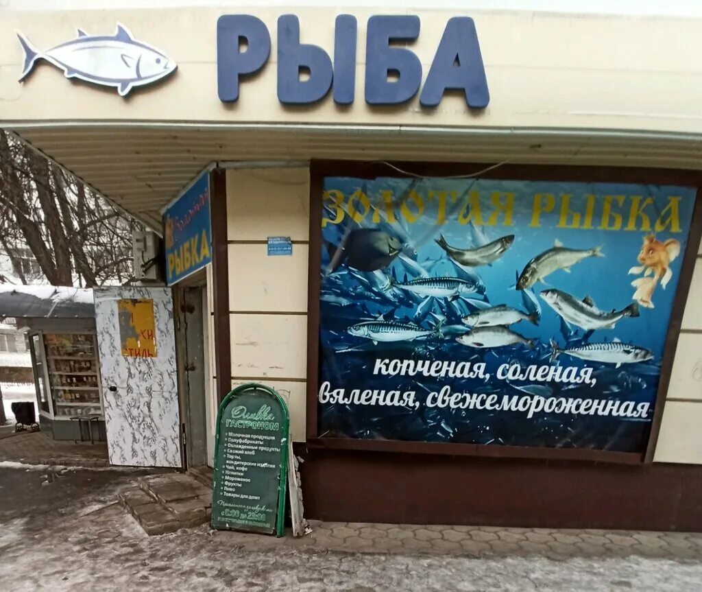 хамса пряного посола балтийский. рыбы живые в зоомагазинах. зооостров, воронеж, московский проспект. рыбы воронежа. питомник аквариумных рыбок.