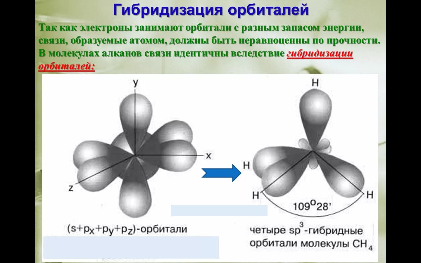 Первая гибридизация. Sp3-гибридизация электронных орбиталей атома углерода.. Sp2-гибридизация орбиталей атомов углерода. Гибридизация орбиталей атома углерода. Sp3 гибридизация атомных орбиталей углерода.