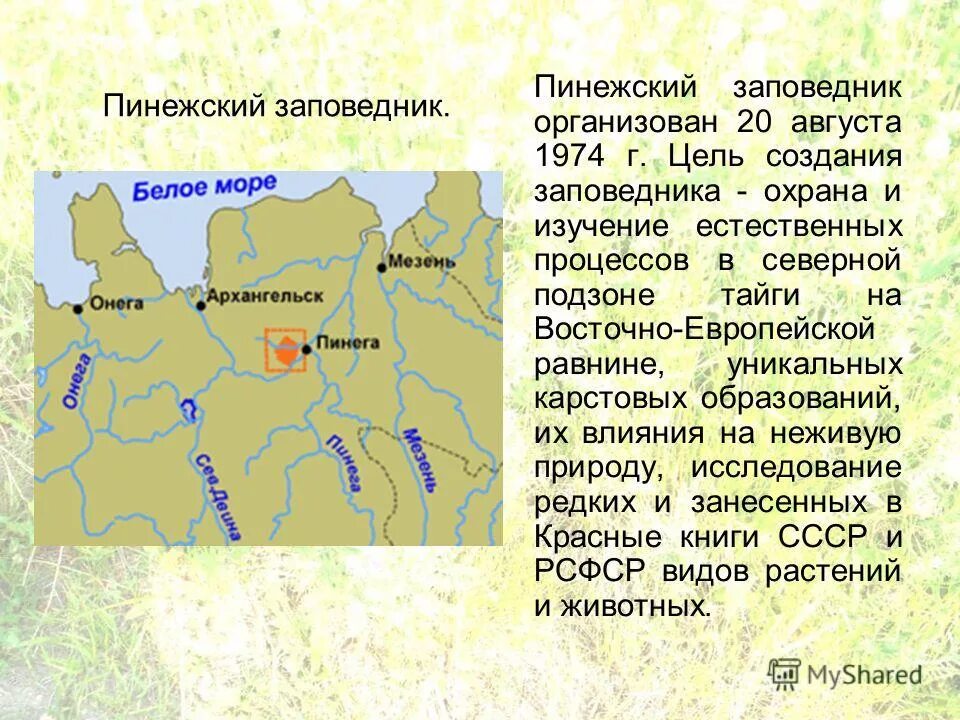 Состав внутренних вод восточно европейской. Пинежский заповедник Архангельской области. Заповедники Архангельской области Пинежский заповедник. Пинежский заповедник природная зона. Пинежский заповедник сообщение.