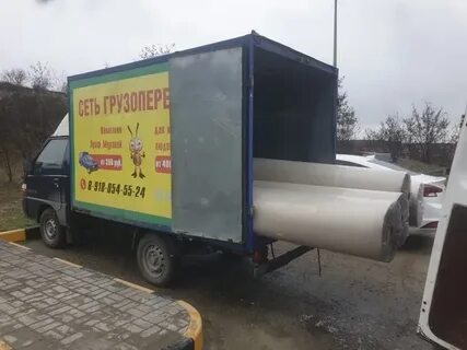 Муравей анапа