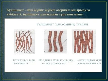 Іш киімдегі әдемі әйелдермен порно