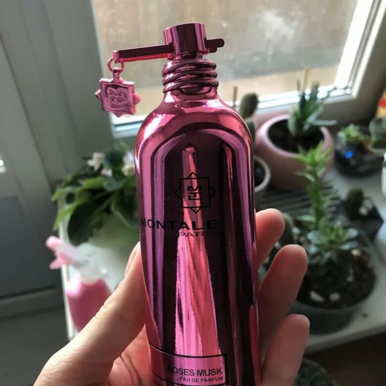 Montale Roses Musk 2019. Sulty Musk подружка. Montale intense Roses Musk сменил флакон. Montale musk купить