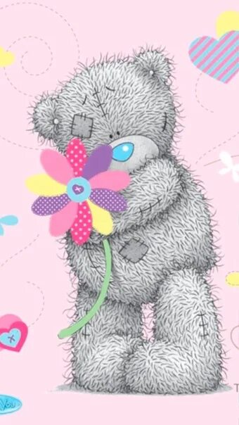 Тедди 8. Мишка Тедди открытка. Мишка Тедди с цветами. Мишки Тедди цветные.