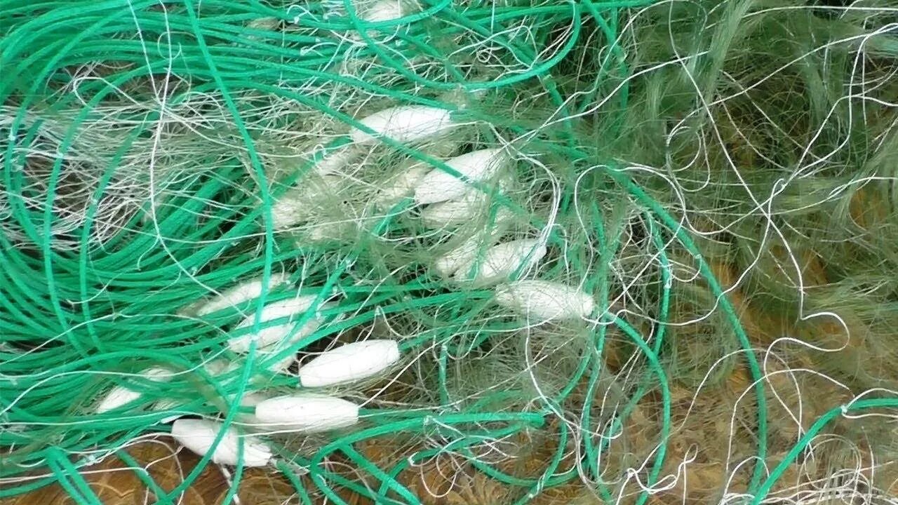 Для ловли рыбы 3. Рамная рыболовная Сплавная сеть. Рыболовные сети рамные. Сетка рыболовная. Рыбацкая сеть.