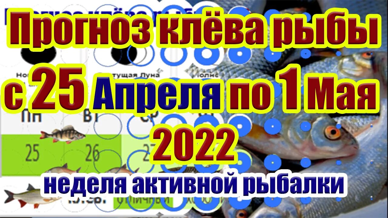 Лунный календарь рыбака на апрель. Календарь рыболова. Календарь клева рыбы на апрель. Лунный календарь рыболова. Апрельский рыболовный календарь.