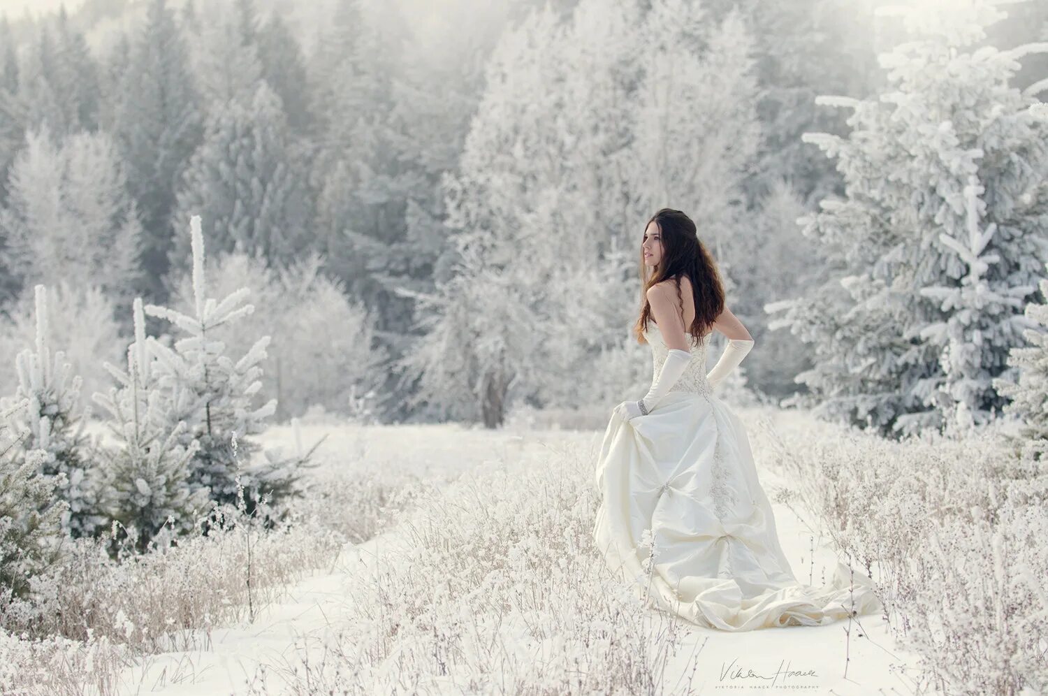 зимняя фотосессия в белом платье. зимняя фотосессия в белом платье. девушки ходят босиком по снегу. зимняя фотосессия в белом платье. зимой платье белое песня.