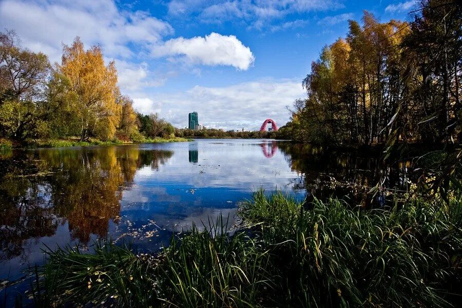 Остров серебряный Бор Москва. Заповедник серебряный Бор. Заповедник серебряный Бор Москва. Парк серебряный Бор осенью. Москва серебряный бор 1