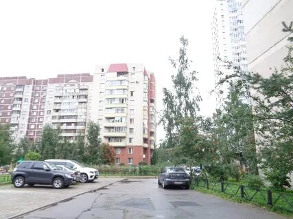 Камышовая улица санкт петербург