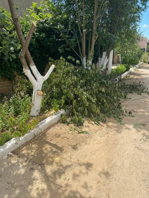 Саки дожди 8 июля. Чп саки сегодня. Чп саки сегодня. Чп саки сегодня. Починка город.