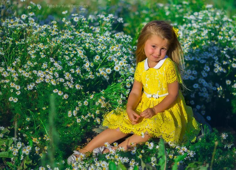 девочка ромашка песня детская. девочка ромашка песня детская. каролин блиш художник картины. девушка с ромашками. портрет настроение.