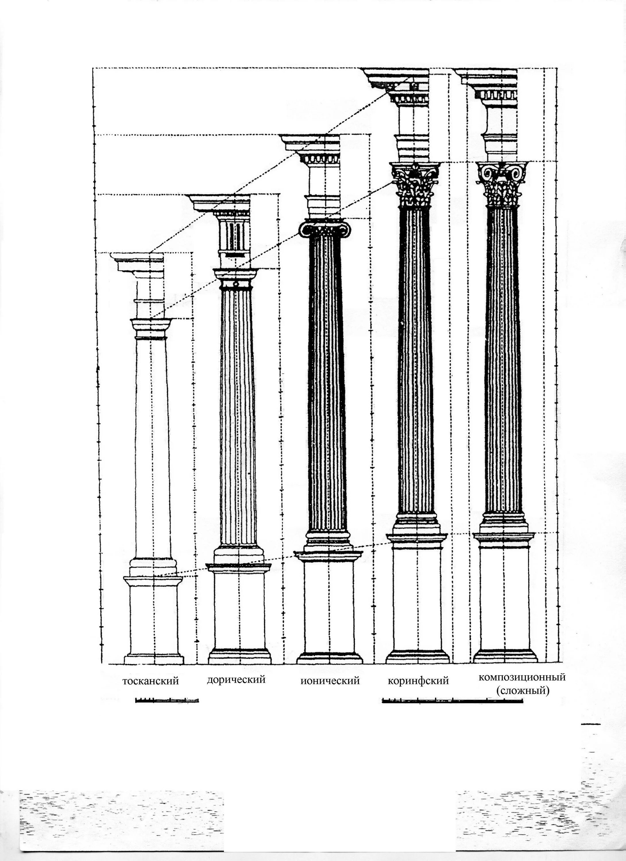 Дорический ионический Коринфский Тосканский и композитный ордера. Римская архитектура Тосканский ордер. Коринфский, ионический, дорический, Тосканский ордеры.. Ордерная система в архитектуре.