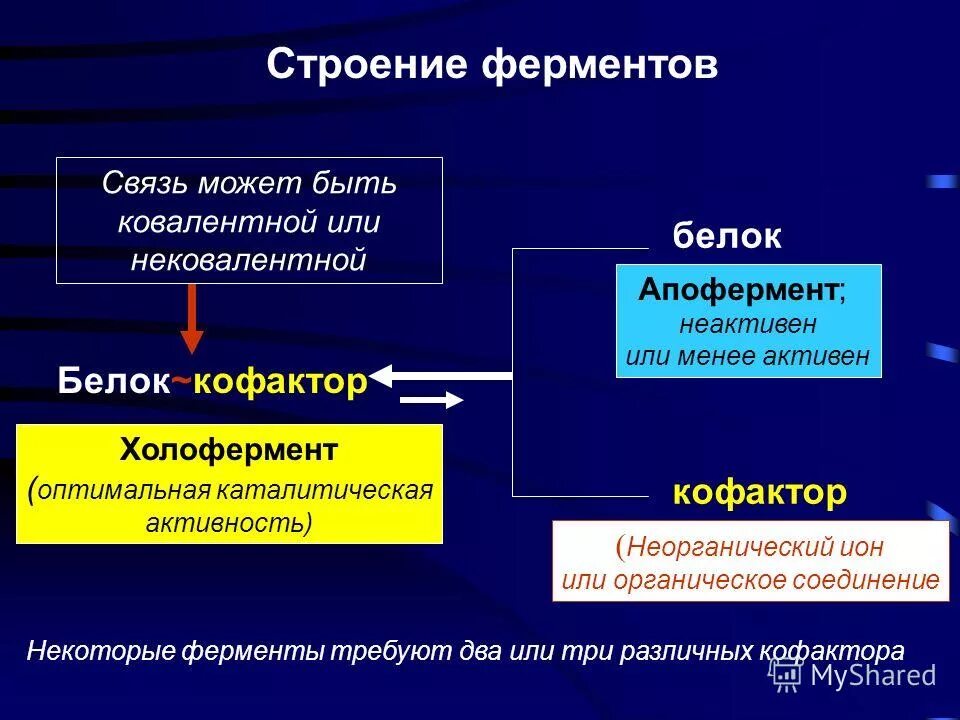 Взаимосвязь структур организма начиная с наименьшей