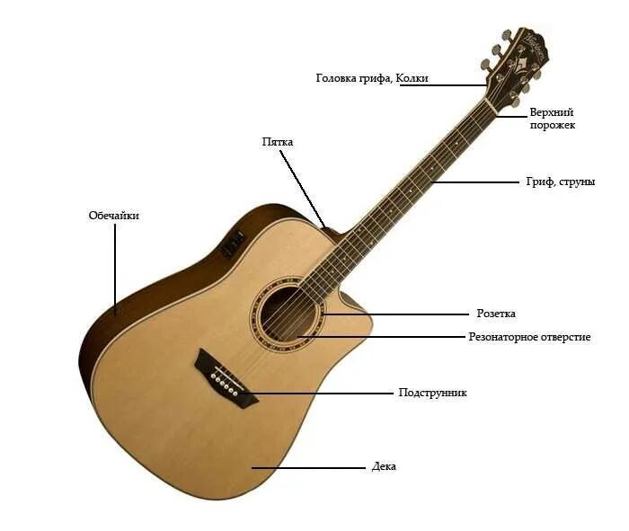 Строение акустической гитары схема. Гитара строение гитары классической. Строение гитары акустической 6 струнной. Схема гитары классической 6 струнной.