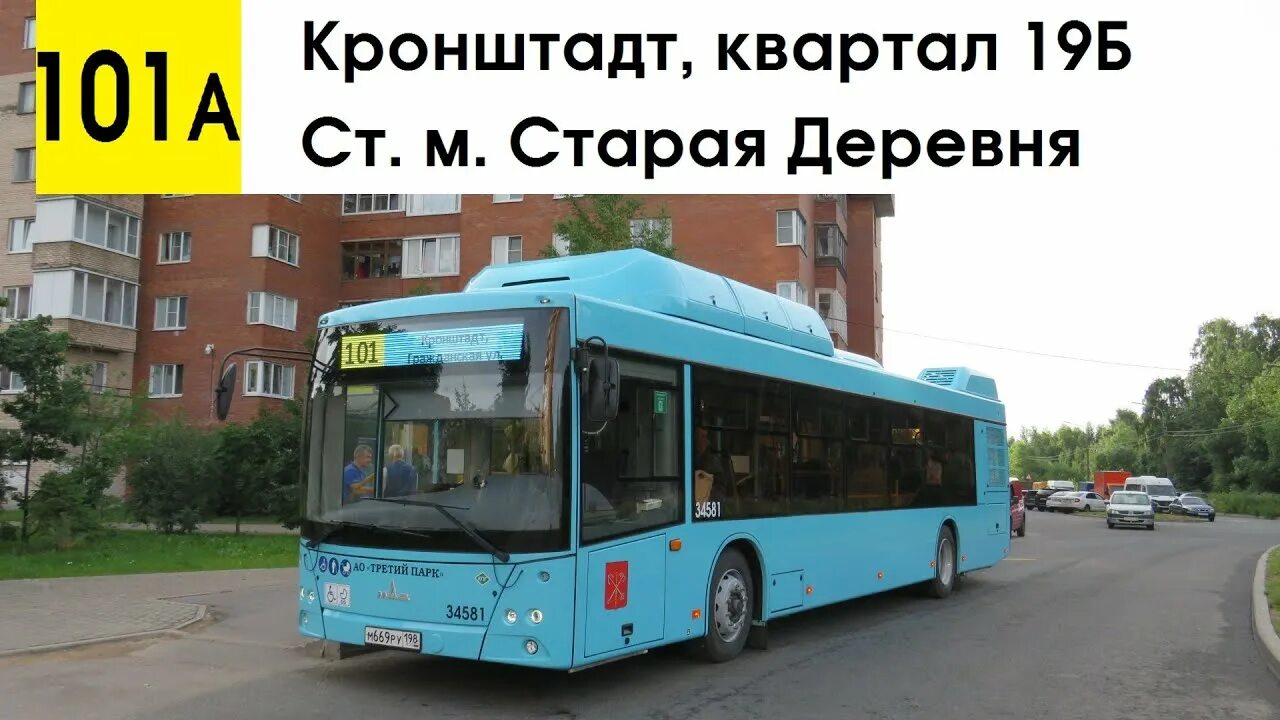 Автобус 101 э. Кронштадт 19 квартал. Автобус Кронштадт. Автобус 101. 101 Автобус СПБ.