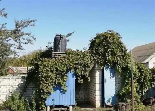 Город белая калитва ростовская область. Белая калитва ростовская область. Белая скала ак-кая крым. Суворовский дуб в крыму. Урочище белогорье.