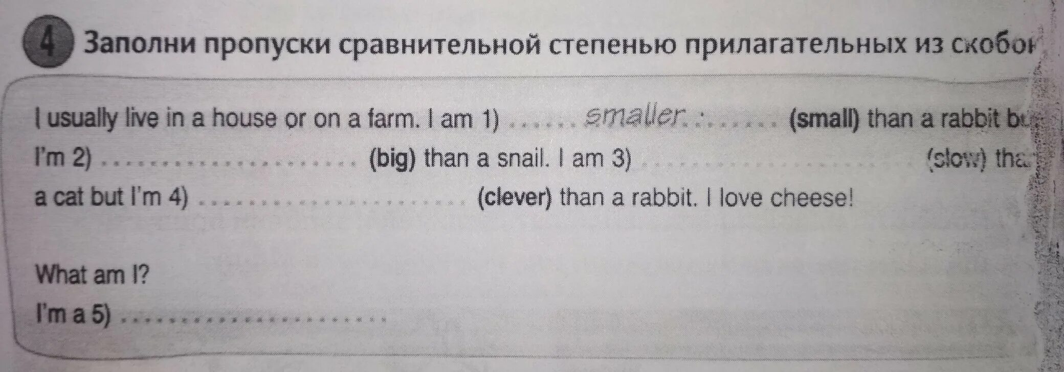 I usually live in the. Заполни пропуски. Заполни пропуски сравнительной степенью прилагательных из скобок. Заполнить пропуски в английском. 4 Заполни пропуски сравнительной степенью прилагательных из скобок.