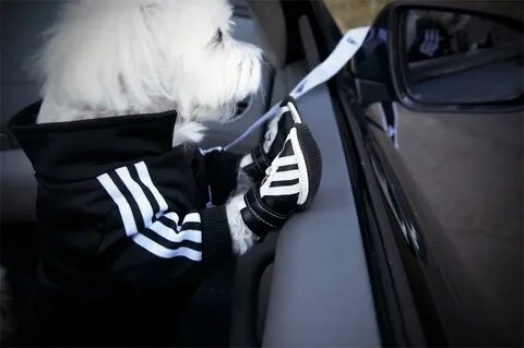 Очень четкие