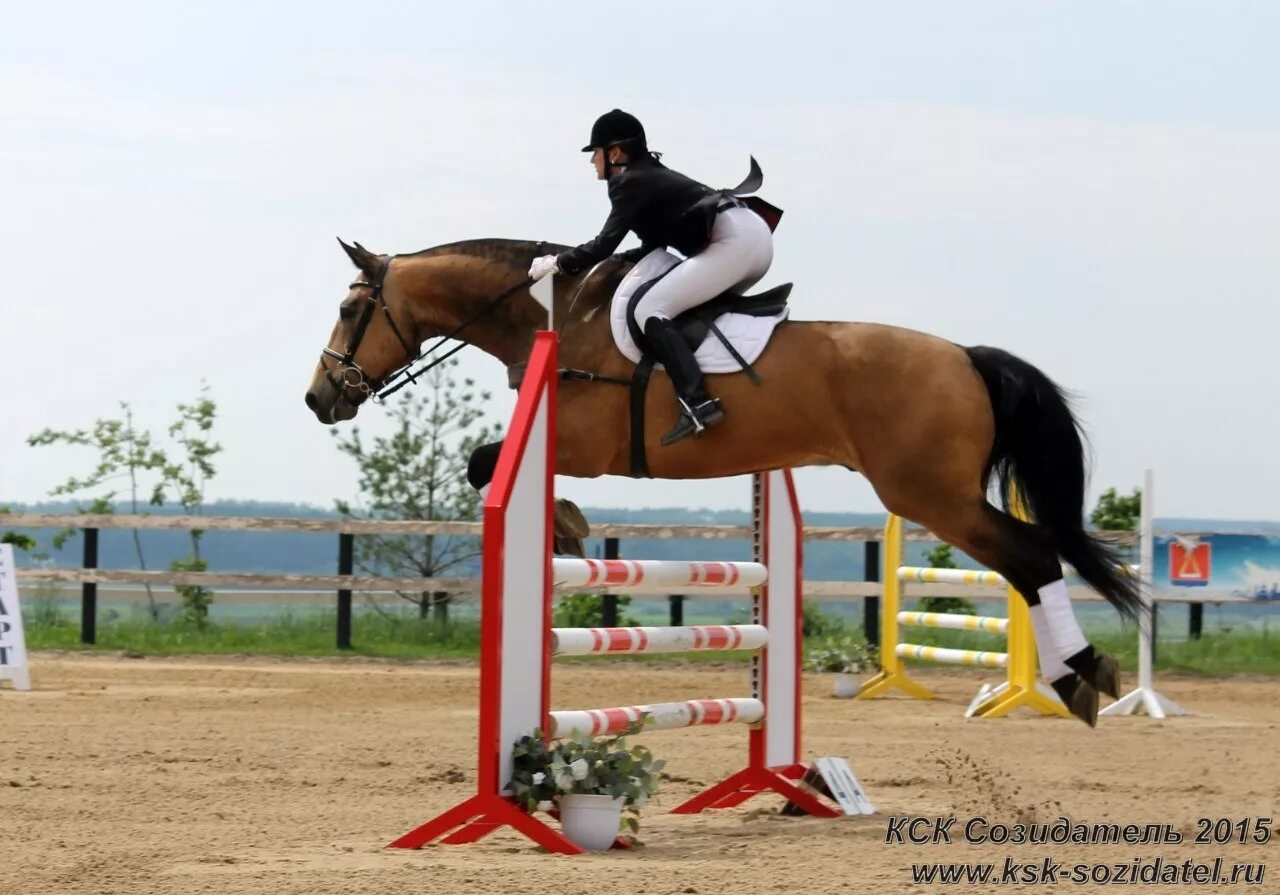 кск адрес. кск ивановское черноголовка. кск адрес. логотип для кск авто. кск emerald stables.