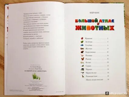 Книга селин аллен зверь