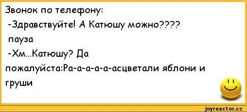 Смешные анекдоты про Катю. Стих про Катю смешной. Шутки про Катю смешные. Анекдоты про Катеньку. Слова кати самбуки