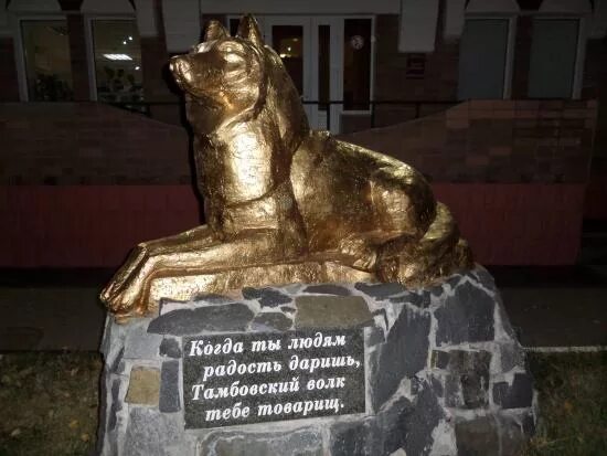 Памятник тамбовскому волку. Памятник волку в Тамбове. Октябрьская 95 Тамбов памятник волку. Тамбов гостиница с памятником Тамбовский волк. Тамбов Тамбовский волк тебе товарищ.