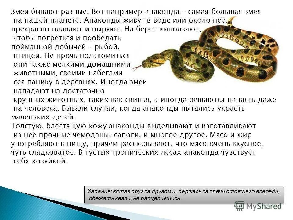 Во сне змеи приснились женщине к чему. Сонник к чему снятся змеи во сне. Змеи приснились во сне женщине. Сонник что означает змея во сне.