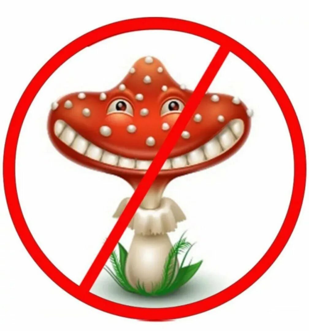 Знак нельзя собирать грибы. Опасные несъедобные грибы. Осторожно грибы. Мухомор для дошкольников. Мухомор отрава.
