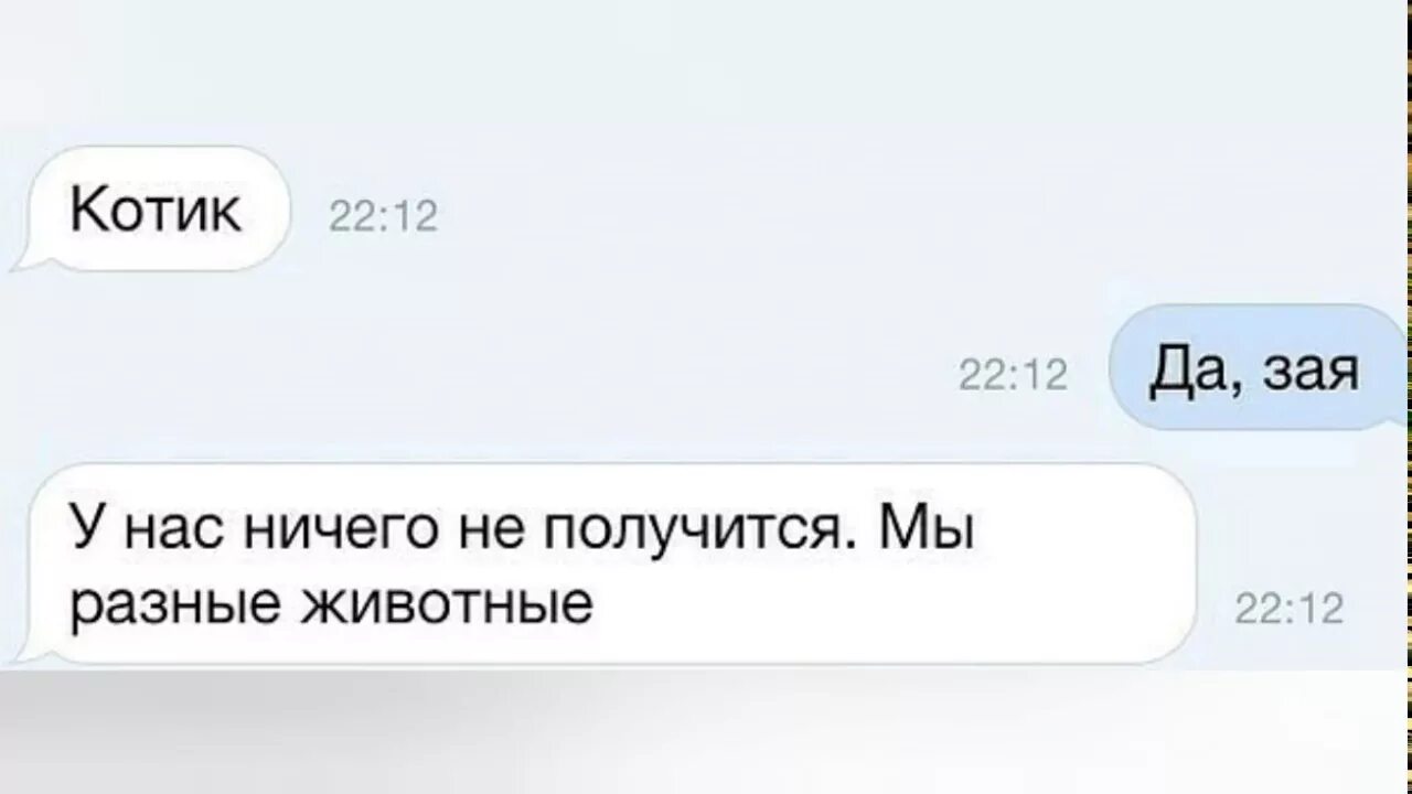 Лежу и ничего не хочу. Что делаешь лежу. Напишите когда освободитесь. Котик да зая у нас ничего не получится. Освободишься напиши.