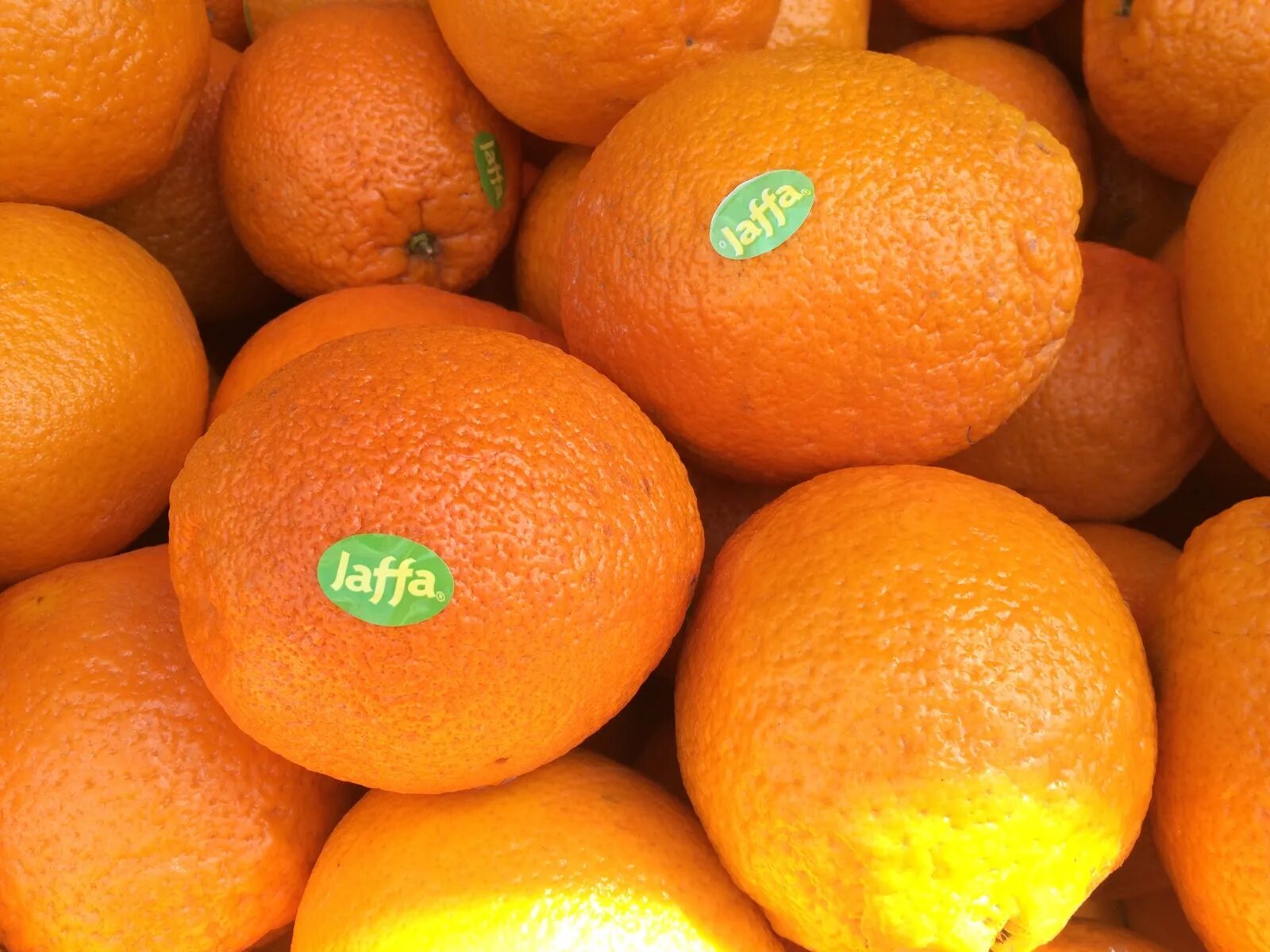 They like oranges. Апельсины сорт Яффа. Bergamot Orange. Апельсины Jaffa производитель. Аметист Ontario Jaffa Orange.