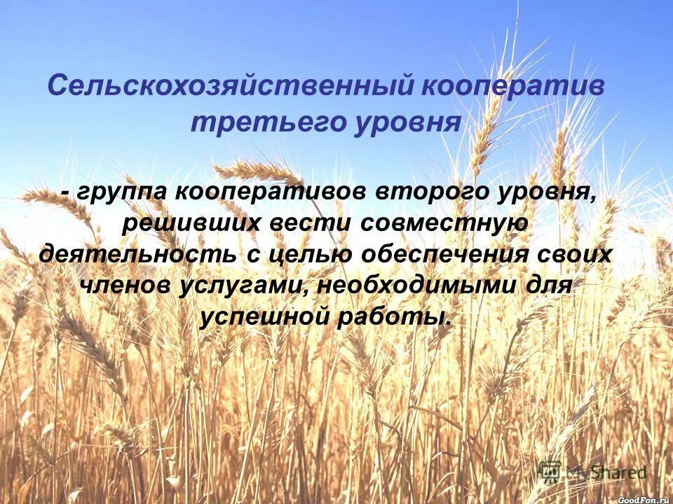 о сельскохозяйственной кооперации